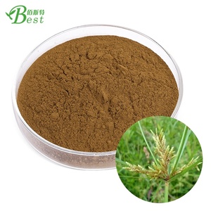 Groothandelsprijs 100% Food Grade Cyperus Rotundus Extract Poeder Rhizoma Cyperi Extract Koosjer - Product Image 2