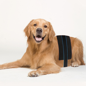 Spot Goods Cinturón envolvente de terapia de luz corporal infrarroja 660Nm 850Nm LED y luz roja para aliviar <span class=keywords><strong>el</strong></span> dolor dirigido a los pies - Product Image 6