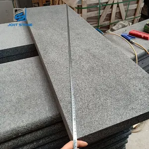 China Granit Hitam Baru 684 Lantai Granit Ubin dengan Dinyalakan Permukaan