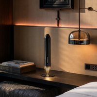 Diffuseur d'arômes à flamme rechargeable Bluetooth Wi-Fi pour huiles essentielles, parfums, décoration d'intérieur originale, diffuseur de parfum commercial