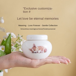 Kediler, Yavrular, Ölü Evcil Hayvanlar İçin Özel Tasarım Modern Seramik Urn, Kremasyon Cenaze Saklama Kavanozu, Diş, Tüy, El Yapımı Özel Logo - Product Image 2