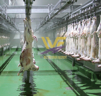 Abattoir de boucherie halal international Usine d'abattoir de chèvres Abattage complet