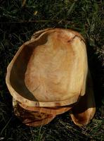 Bol de racine de teck de haute qualité, durable et écologique, assiettes de fête incassables