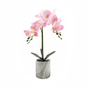 ขายส่งตกแต่งผีเสื้อ Phalaenopsi Orchid ประดิษฐ์ดอกไม้จำลองพืชหม้อ