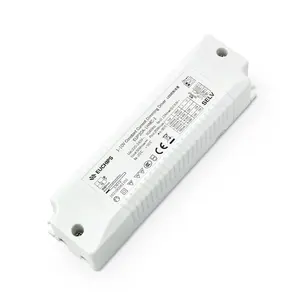 Controlador de atenuación de corriente constante Original, controlador LED regulable de corriente constante de 20w, 0-10V