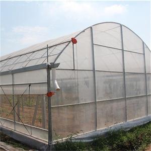 Galvanized Steel Frame Economic Tunnel Plastic <b>Greenhouse</b> for Vegetable - Product Image 6