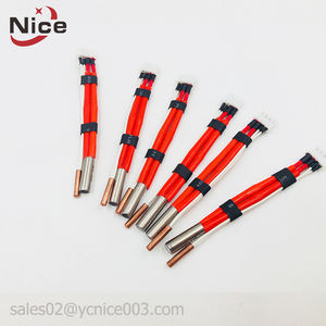 Élément chauffant pour <span class=keywords><strong>chauffe</strong></span>-<span class=keywords><strong>eau</strong></span> 12v 24v 60w, résistance chauffante pour <span class=keywords><strong>camping</strong></span>, cartouche chauffante pour voiture - Product Image 2