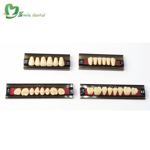 Denti in resina acrilica a tre strati/denti in resina per protesi - Product Image 4