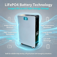 Batería de Pared LiFePO4 de 51.2V 100Ah 5.12kWh con Pantalla Táctil, BMS de 100A, Descarga, WiFi, APP, RS485, CAN, Almacenamiento Solar, UPS, Respaldo