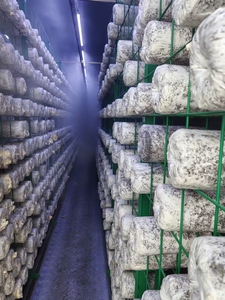 Contenedor de Cultivo Hidropónico para Hongos Hezhou HM-40FT de 40 Pies, Sistema Inteligente de Alto Rendimiento y Ahorro de Energía, Certificado ISO9001 para Granjas - Product Image 2