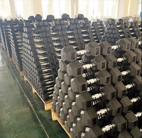 Ensemble d'haltères hexagonales portables en caoutchouc pour la musculation à domicile