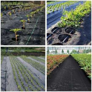 Malla Antihierbas de Polipropileno 100% Ecológica y Resistente, Tejido para Paisajismo, Cubierta para Suelo, Tapete de Jardinería - Product Image 5