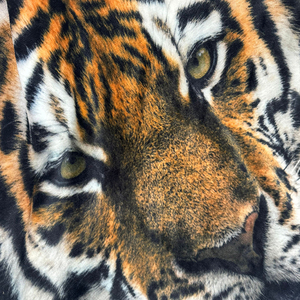 ZT personalizado nuevo elegante ligero transpirable verano visón Tigre estampado edredón mantas - Product Image 4