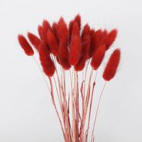 Offre Spéciale Naturel Séché Petit Pampas Herbe Couleur Lapin Queue Herbe Séchée Fleurs Plantes pour Pâques Noël Nouvel An Halloween