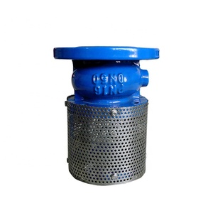 Clapet à ressort en fonte ductile avec filtre, fourni par l'usine, livraison gratuite - Product Image 3