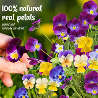 Fleurs de primula pressées faites à la main, multicolores, pétales de viola séchés pour la décoration de gâteaux à la crème, fleurs pressées DIY pour la décoration.