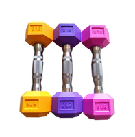 Haltères hexagonaux en PVC écologiques et élégants de 4 kg, couleur rose, équipement d'exercice avec support en fer et en caoutchouc à vendre