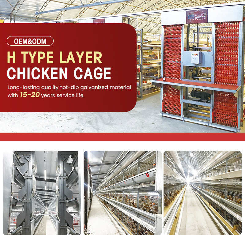 Hot Dip Galvanized Chicken Cage for