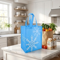 Sac de courses réutilisable multifonctionnel en tissu non tissé écologique, pliable, avec poignées, personnalisable avec logo, pour voyages et courses (OEM/ODM)