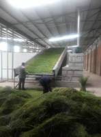 Volautomatische Dehydrator Gedroogde Fruit En Plantaardige Productielijn Droge Plantaardige Verwerking