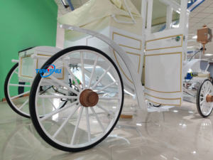 Rickshaw Sightseeing Carruagem com Parasol - Product Image 4