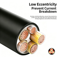 Cable de Alimentación Industrial para Minería YJLV32 con Núcleo de Aluminio, Aislamiento XLPE, Armadura de Alambre de Acero Fino, Revestimiento de PVC, 0.6/1kV, Enterrado, IP54