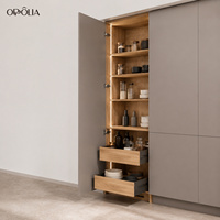 Îlot de cuisine commercial OPPOLIA, armoires de cuisine modernes modulaires personnalisées, prêtes à assembler, en laque, ensemble complet pour la maison