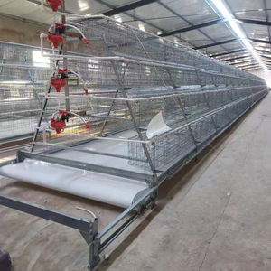 Attrezzature avicole zincate per allevamento di galline ovaiole, gabbie a batteria automatizzate ad alta produttività per allevamenti di uova. - Product Image 3