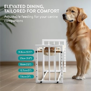 Çift Katlı Ekolojik Dostu Kedi Mamalıkları Yükseltilmiş Kedi Mama Kabı Seti Bambu Standlı İç Mekan Kedileri Küçük Köpekler Evcil Hayvan Mama ve Su Kapları - Product Image 3