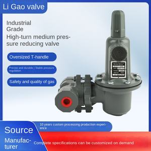 YOUYI LG-16P pneumatisches Gasdruck reduzier ventil für Haushalts-Flüssiggas 1 Jahr Garantie - Product Image 3