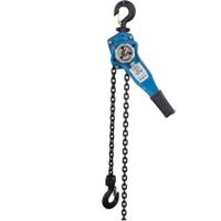 Palans à levier Yongchi HSH-A, robustes et fiables, capacité de 0,75 tonne, acier allié haute résistance de 6,3 mm, roue libre pour le tirage de marchandises, palan manuel