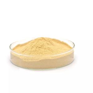 Ausreson tự nhiên giá tốt nhất 100% chiết xuất men Enzyme cấp thực phẩm brewer chiết xuất men bột - Product Image 1