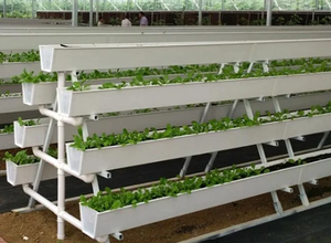 <span class=keywords><strong>Gouttière</strong></span> hydroponique agricole en PVC pour serre, pour fraises, systèmes de culture, <span class=keywords><strong>gouttière</strong></span> de culture - Product Image 2