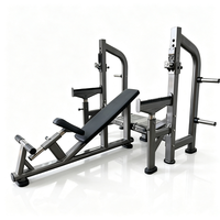 Équipement de musculation professionnel de haute qualité, banc incliné à 45 degrés, machine de musculation pour les triceps