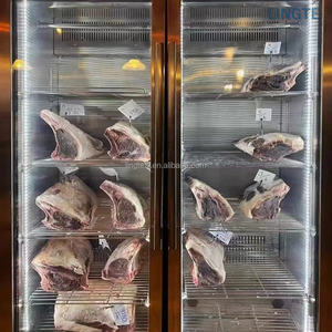 Vente flash : Équipement de réfrigération/réfrigérateur pour steak de bœuf vieilli à sec espagnol pour les cuisines de restaurants - Product Image 1