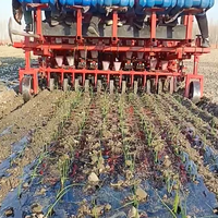 Machine à repiquer les semis, repiqueuse d'oignons, repiqueuse de légumes