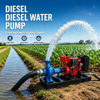 Pompe à eau centrifuge à moteur diesel série IS en fonte pour l'irrigation agricole et l'alimentation en eau des champs