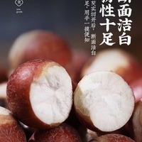 Graines de Gordon Euryale séchées entières Qianshi TCM à vendre