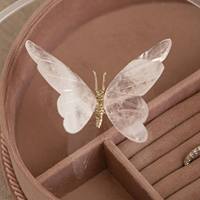 Maßgefertigte Luxus-Schmetterling Transparente Acryl-Schmuckbox Ohrringe Ring Runde Samt-Schmuckaufbewahrung Geschenkbox Verpackung