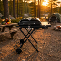 Barbecue au gaz propane de style coréen moderne personnalisé, accessoires de cuisine extérieure en acier certifiés CSA