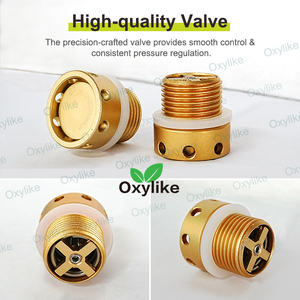 2026 Nueva Válvula de Alivio de Presión Automática de Alta Calidad para Electrodomésticos, Piezas para Cámara de Oxígeno Hiperbárico HBOT - Product Image 6