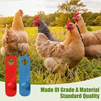 Lot de 8 protège-jambes pour coq, protection rouge et bleue pour la volaille, accessoires pour la protection quotidienne des poulets