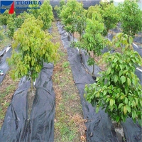 PP tissé couverture de sol maille tapis de mauvaises herbes rouleau anti herbe tissu de contrôle des mauvaises herbes