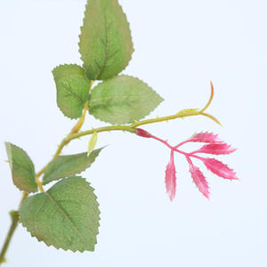 ZUOYI 90CM panno di seta foglia di rosa pianta artificiale 2 rami piante di foglie di rosa verde per parete vegetale - Product Image 4