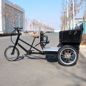 Tricycle électrique à assistance au pédalage, taxi-rickshaw, pneus larges, tricycle électrique à <span class=keywords><strong>trois</strong></span> <span class=keywords><strong>roues</strong></span>, vélo cargo, tricycles électriques à <span class=keywords><strong>trois</strong></span> <span class=keywords><strong>roues</strong></span> pour <span class=keywords><strong>adultes</strong></span> - Product Image 3