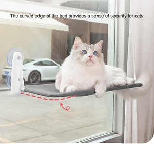 Mèo cử<span class=keywords><strong>a</strong></span> sổ cá rô võng giường ghế với cốc hút tiết kiệm không gian trong nhà treo tường vật nuôi mèo võng - Product Image 3