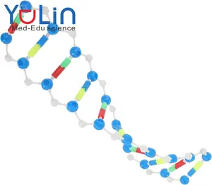 双螺旋模型教育教学DNA辅助分子自组装模型生物DNA模型仪