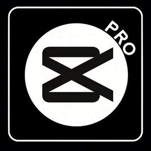 สิทธิ์ใช้งานซอฟต์แวร์ Capcut Pro บัญชี Capcut Pro สำหรับตัดต่อวิดีโอ การสมัครสมาชิก Capcut 1 เดือน - Product Image 4