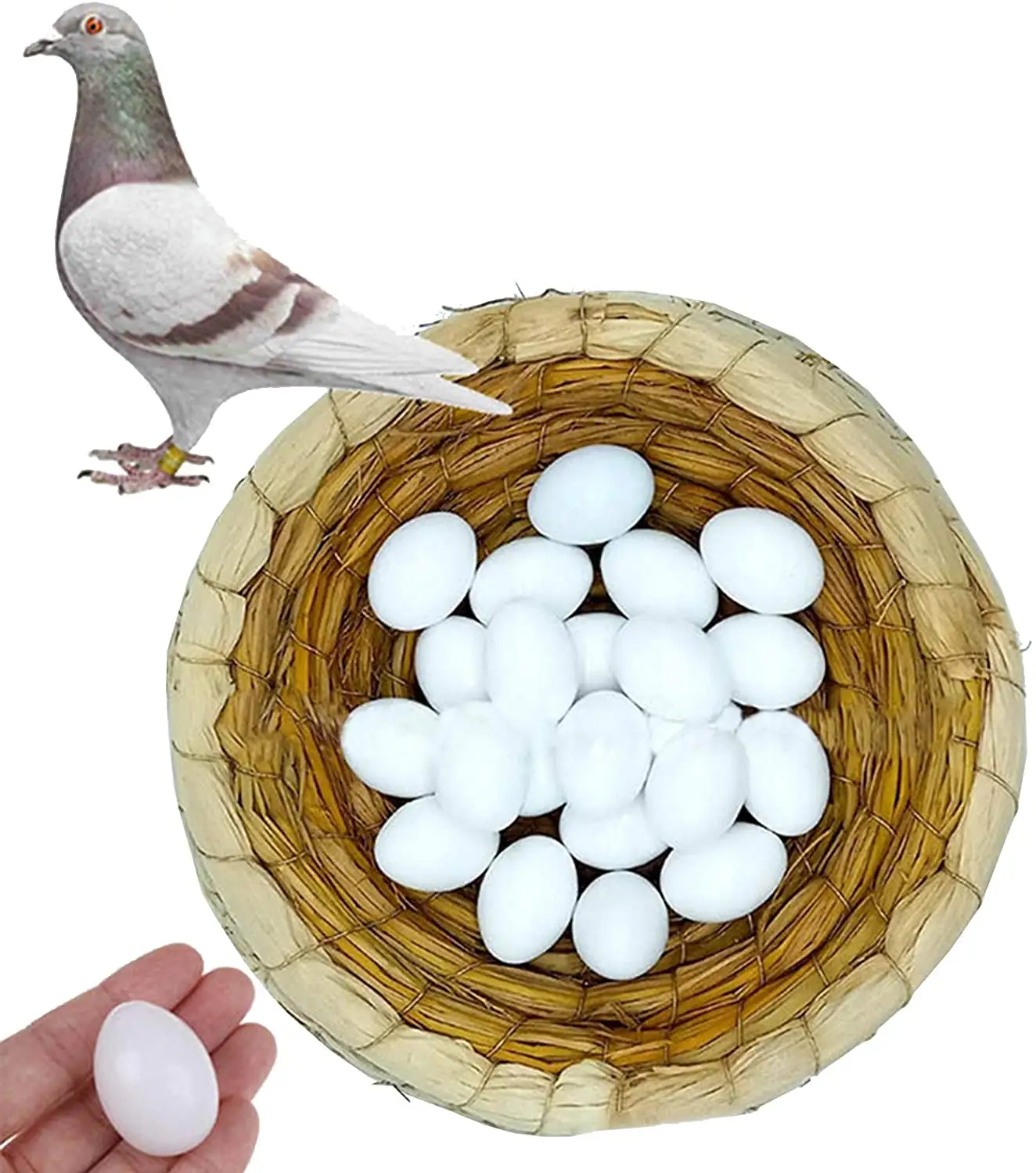 Faux œufs de Pigeon pour l'éclosion de corée, 7 pièces, élimination des oiseaux de perroquet et autres petits oiseaux, certification solide, triche les oiseaux pour arrêter la couche
