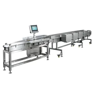 Stainless steel chain plate multi-stage beef meat fish chicken automatic weight grading sorting machine